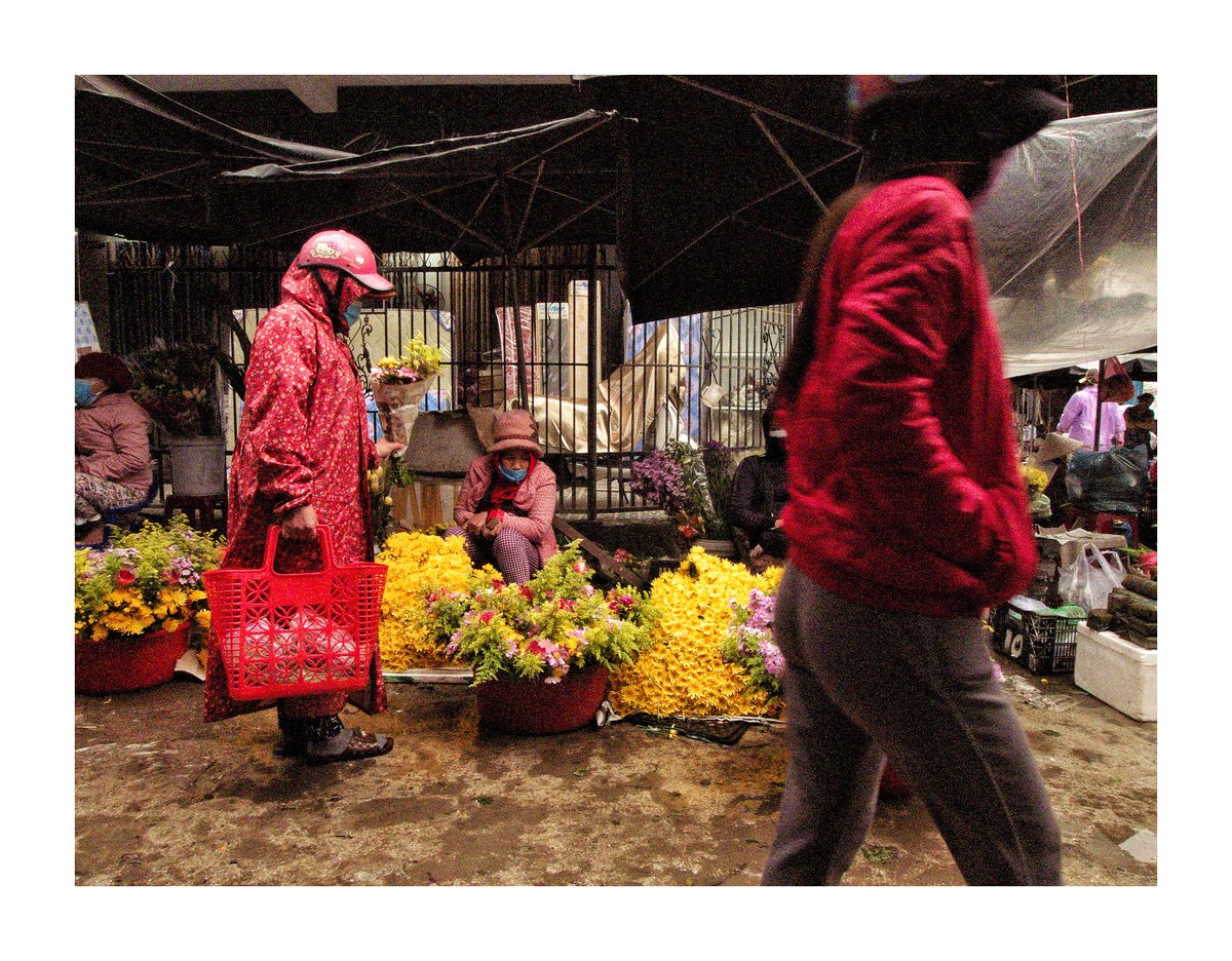philipgenochio's tweet photo. So Monday, what shall it be? What's that? People wearing heImets in markets, you say? Rightio.
#vietnam #streetphotography #photos #marketscenes #dailylife https://t.co/N0OMR56sKW