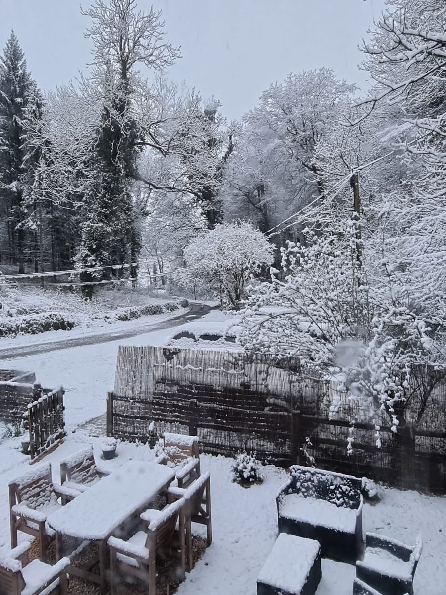 MsHWall's tweet image. Not sure this was ordered last night