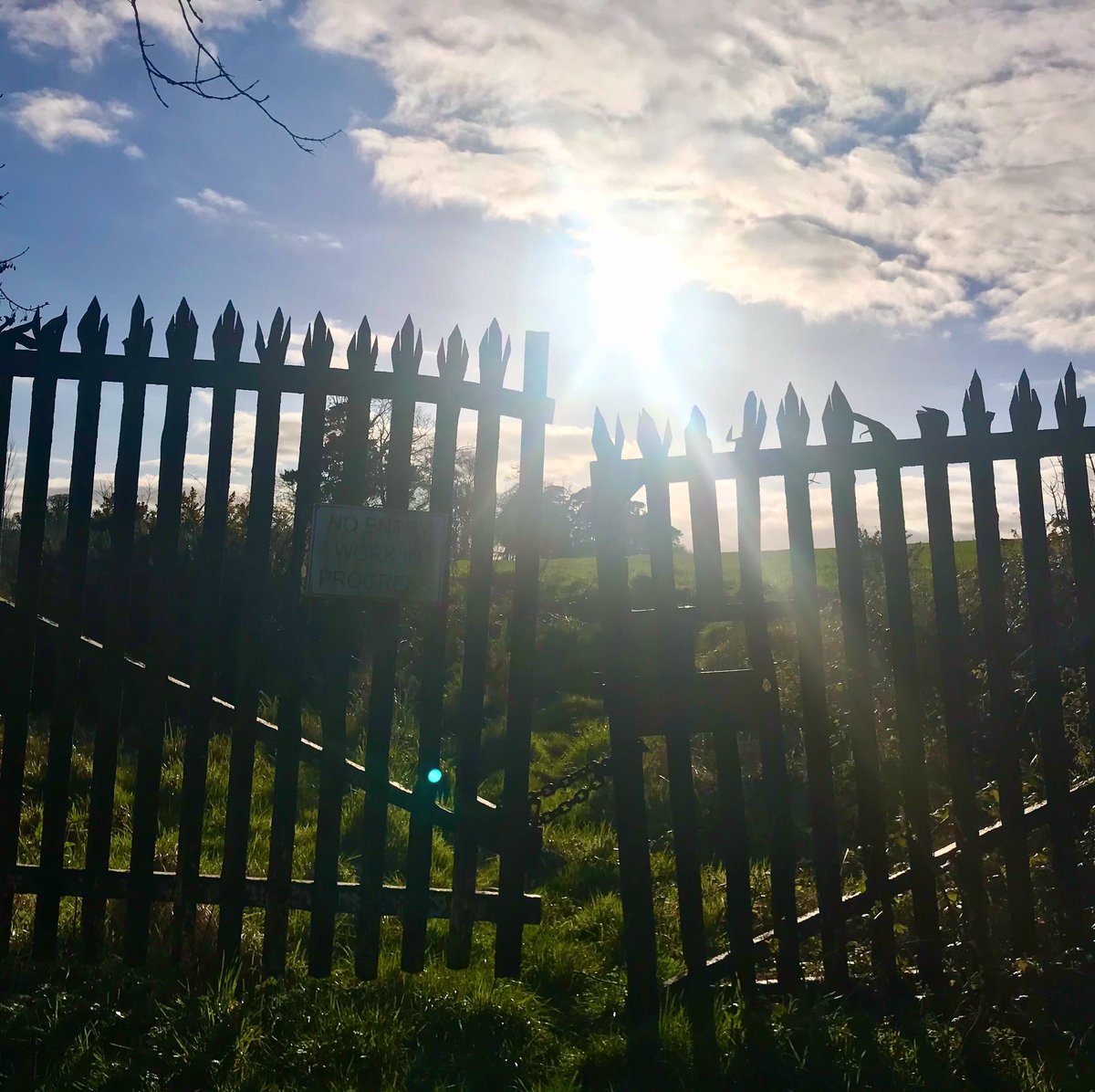 A chink of light - our youngest gets back to school today for first time since December - an old gate on a local country road in Stamullen, Co. Meath - Have a great day 👍
.
#irishart #art #Ireland #color #creativity #meath #dublin #uplifting #country #light #open #staypositive