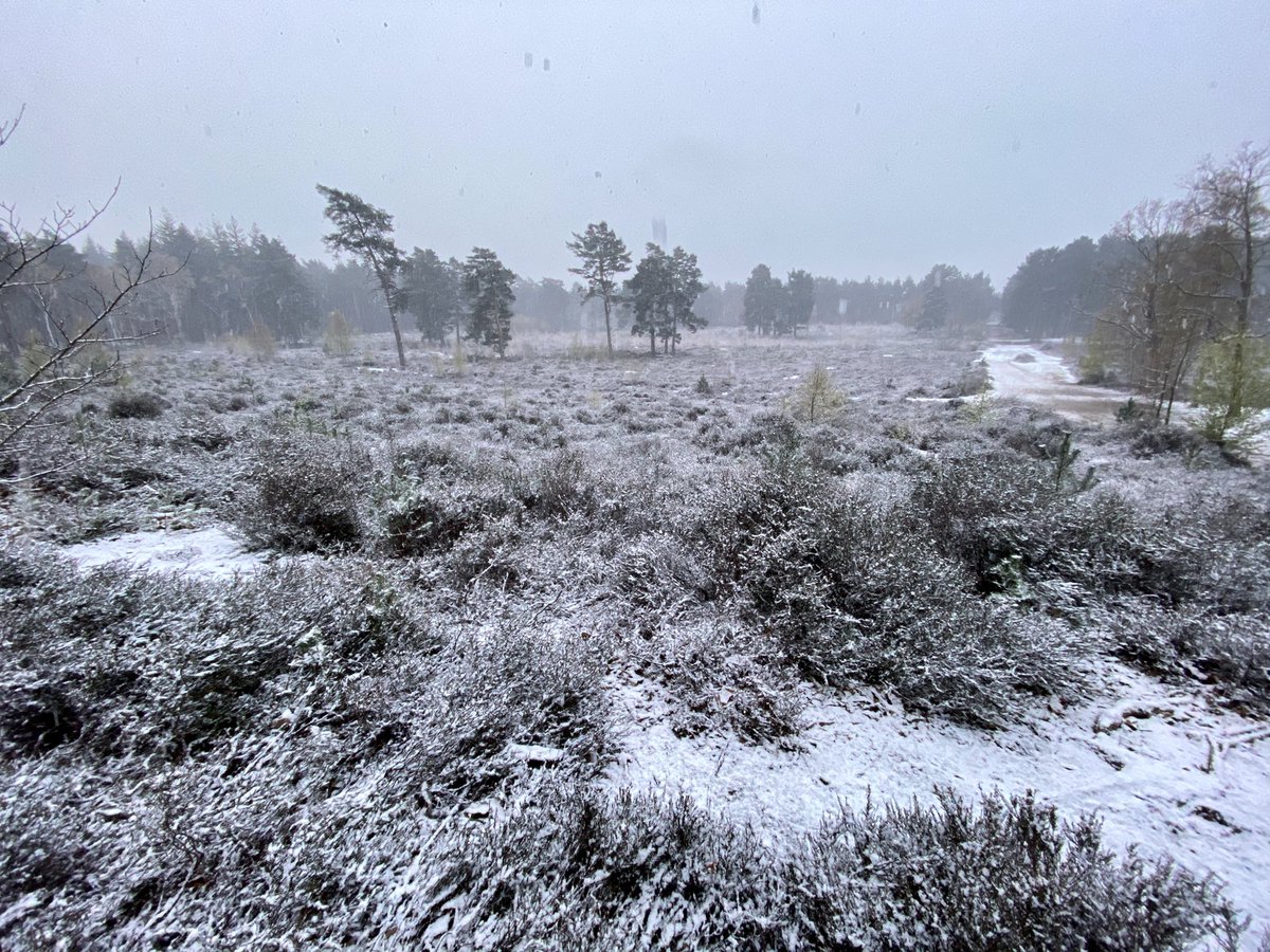 Didn’t expect THIS this morning