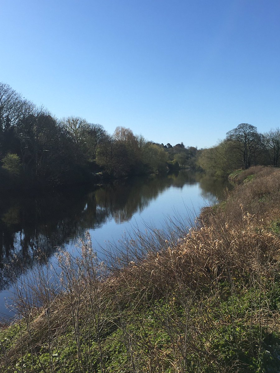 River Tees this morning for you <a href="/markdavies67/">Mark Davies</a>