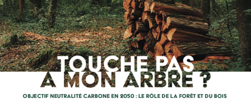 🗓 J-1 avant les états généraux de la filière #FORET #BOIS
Programme et inscription 👉
fibois-idf.fr/touche-pas-a-m…

#Architecture et #Construction durable, rôles des forêts et #résilience face au changement climatique, valorisation de la ressource française,...