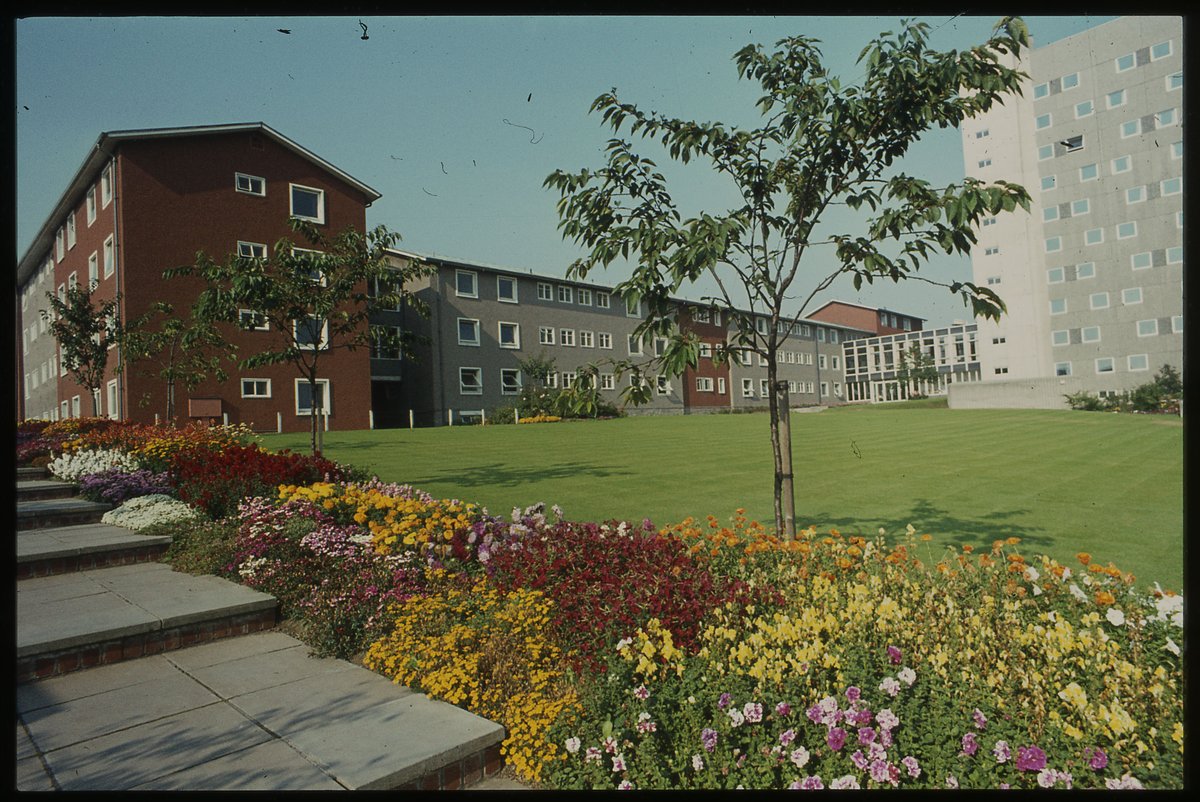 CAIS - Uni of Dundee tweet media