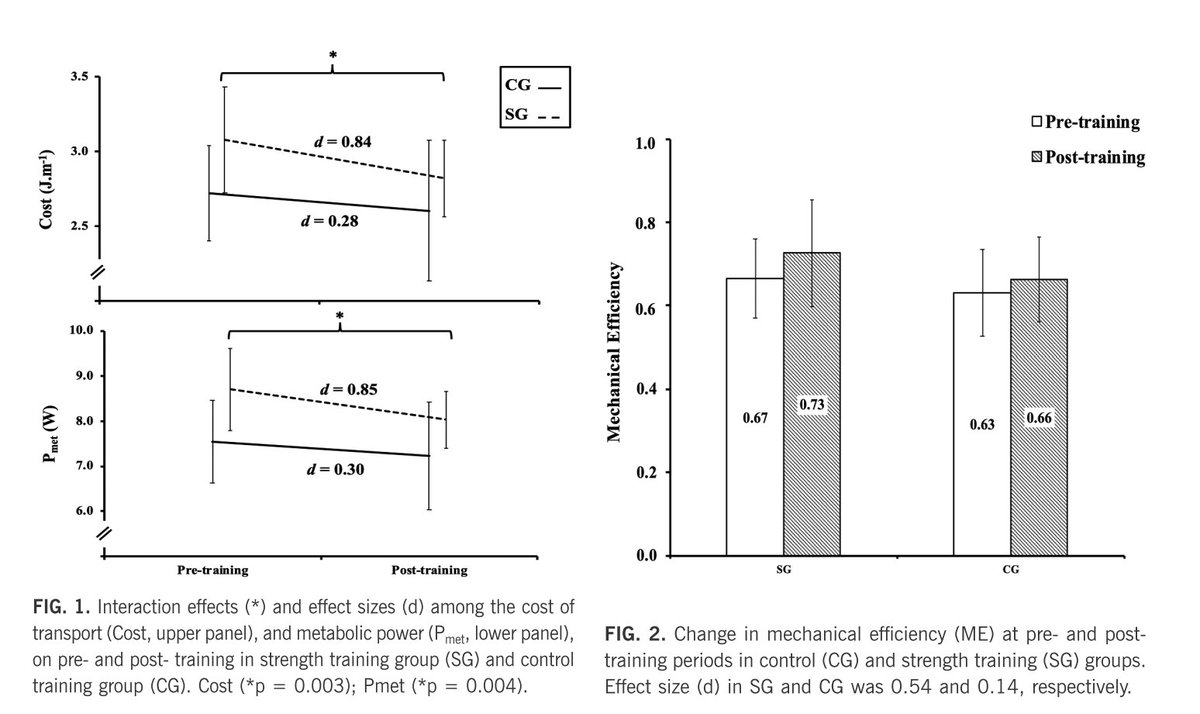 🆕 This study was aimed to examine the effects of increased #strength on #mechanical work, the metabolic cost of transport, and mechanical efficiency during #running 
✍️by <a href="/JorgeStorniolo/">Jorge Lopes Storniolo</a> <a href="/gabifischerphd/">Gabriela Fischer</a> <a href="/Alex_Moorhead/">Alex Moorhead</a> <a href="/MarcusTarta/">Marcus Tartaruga</a> <a href="/leotartaruga/">Leo Peyré-Tartaruga</a>
🔗🔓bit.ly/2QkIWsf