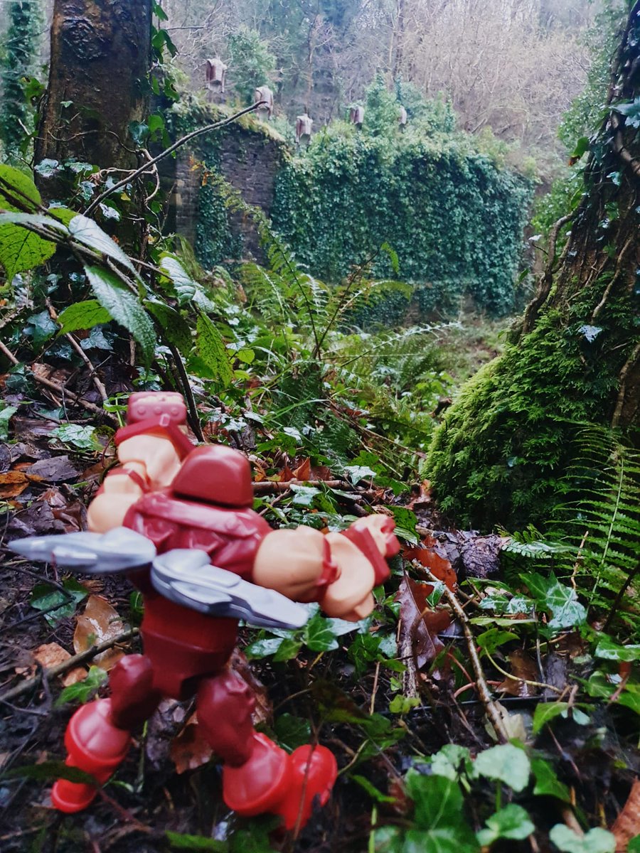BBCreativeHub's tweet photo. Fun in the Forest. Photos Eileen Mooney
What we see through our eyes or feel through our other senses can feed our creativity. Luckily in Co Cavan we don't need to go far to find inspiration.Get inspired by your County #IrelandsAncientEast #Discoverireland #ThinkitCreateitShareit https://t.co/JSKMvmlFkU