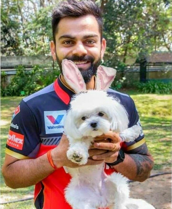 "Animal lover Virat"  #ViratKohli