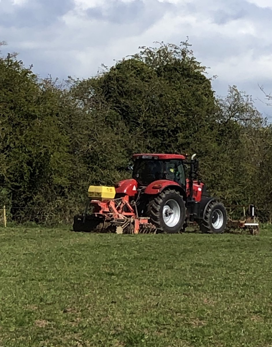 dcampion244's tweet photo. Did some rejuvenating over weekend  of paddocks damaged over winter. @BoyleagriPat did a great job with our assistant rolling afterwards. @Germinal_Ire #AberGain  #Top5Extend used @Murphy1Diarmuid @Nialllaffan @McEvoy_M @wearegerminal https://t.co/vxYohj0Fxt