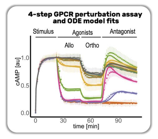 If you want to learn about analysis of complex GPCR signaling data with #systemsbiology - see the talk of Susanne Roth at GM of the European Research Network on Signal Transduction #ERNEST.

Today at 2-2:30 PM CET
-&gt; Register for free lnkd.in/diygMCp

#Horizon2020 #EU_EIC