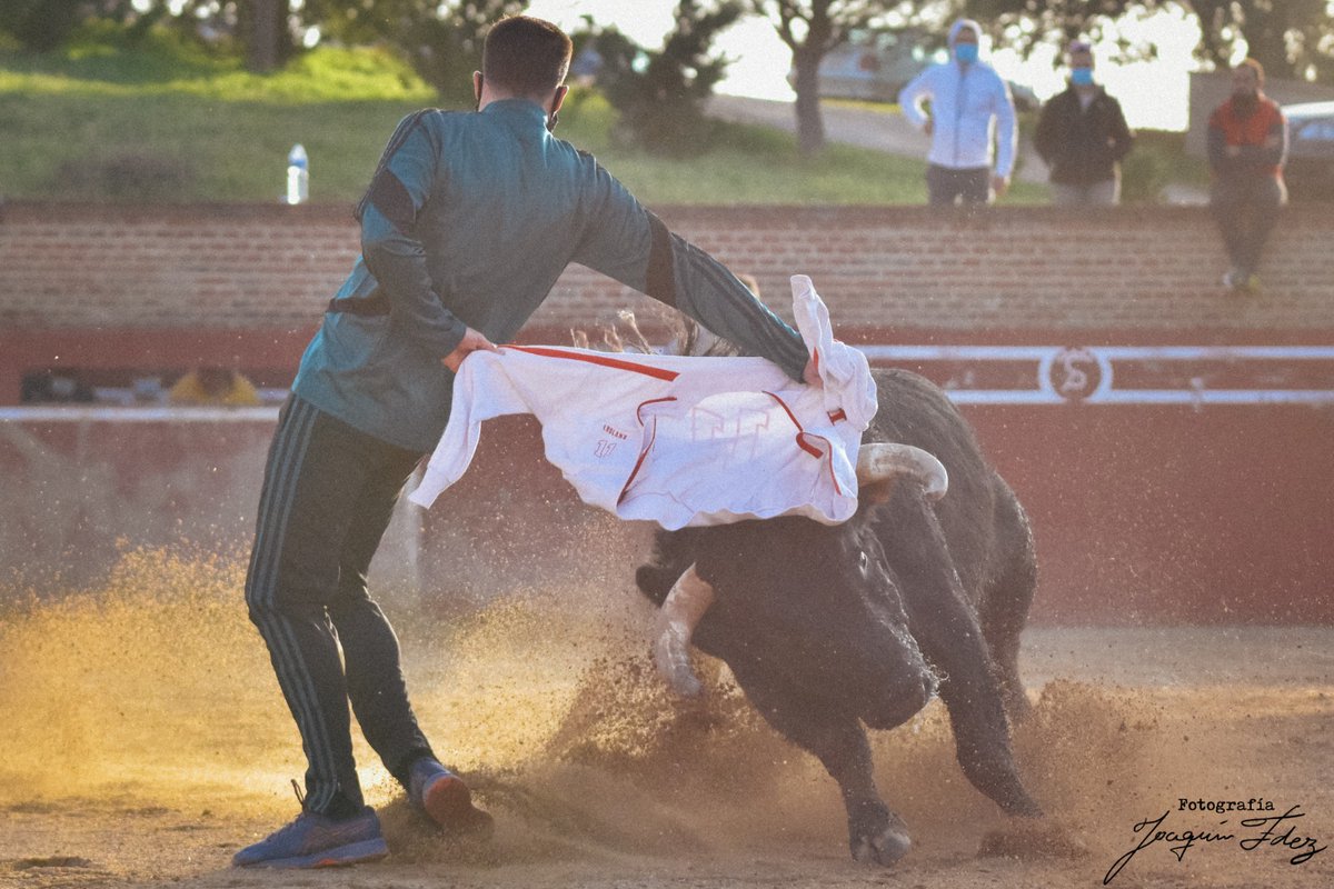 guscr15's tweet photo. La meta es ser mejor que ayer, no mejor que nadie #bravura #casta #trasmision #codicia #entrega #semental #amigos #afición #tradición #sialostoros https://t.co/J6QxrxN2Jl