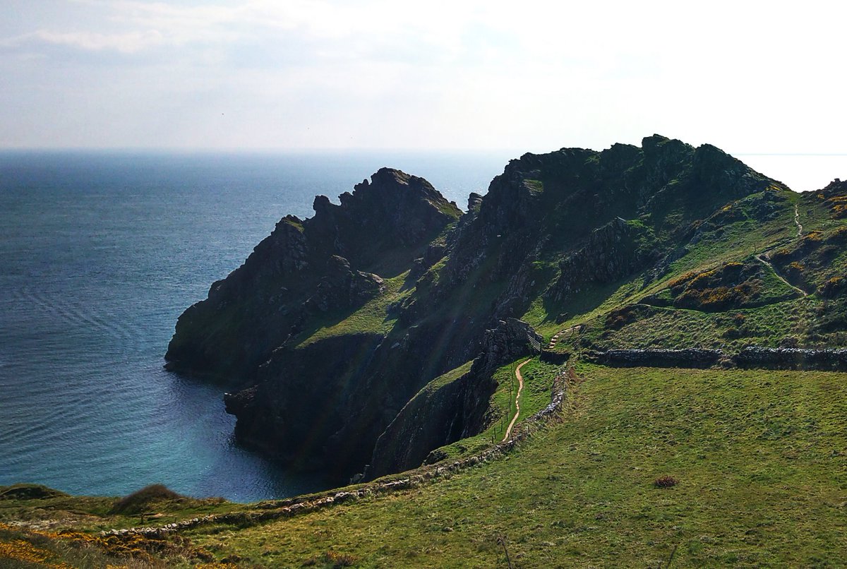 ayrmer's tweet photo. #Gammonhead near #PrawlePoint equidistant between #Salcombe and #StartPoint on the #SouthDevon coast. https://t.co/9TIMptmgvV