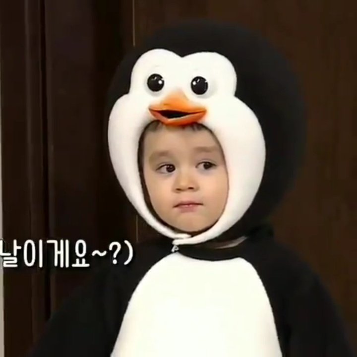 baby bear and baby penguin