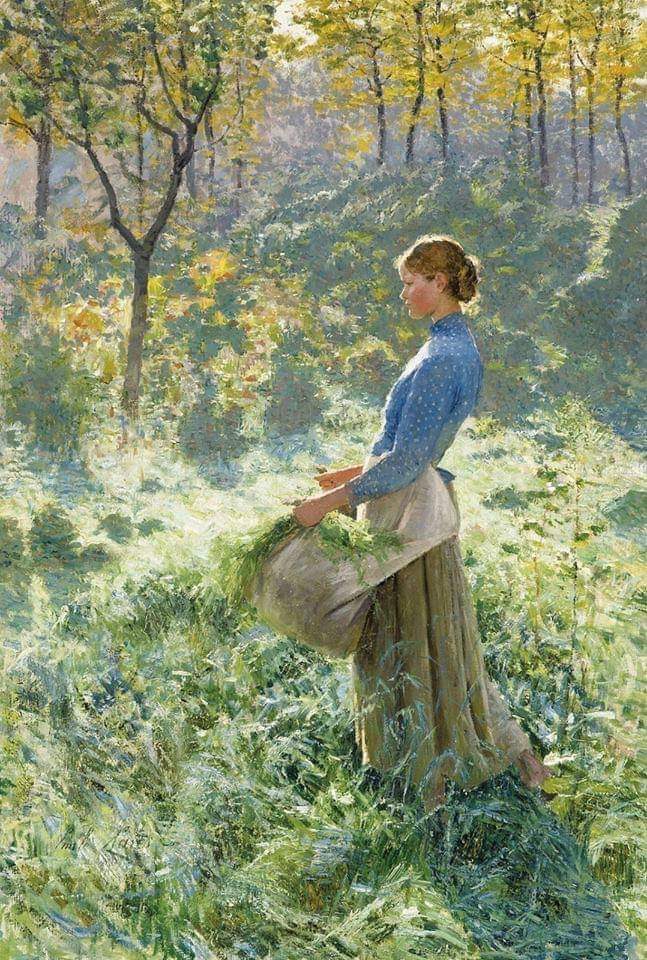 Emil Claus