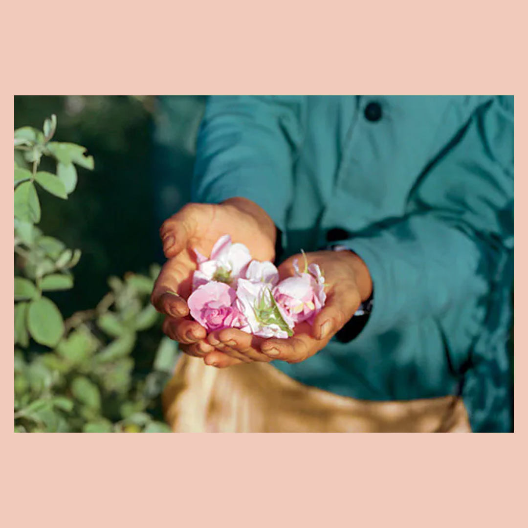 AvedaChapelHill's tweet photo. Journey with us—to trace Aveda's ingredients back to the harvesting co-op.

See real stories that show how Aveda's relationships with indigenous communities, farms and distilleries help the Earth and everyone on it 🌎 https://t.co/bmLPu8Xs5B https://t.co/JJnfJ3hmov