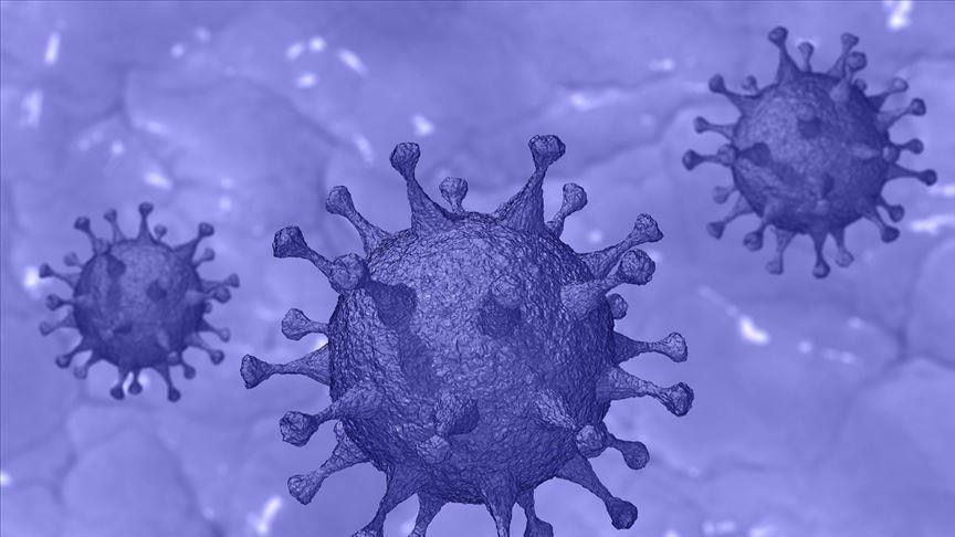 CityAM's tweet photo. New super Covid variant combines 18 #mutations, including Brazilian, British and SA strains 

Scientist in Brazil have confirmed that the new #strain was first discovered in the city of Belo Horizonte https://t.co/LWg0tUeXm5
 #Superstrain #Covidmutation #Coronavirus #covidvariant https://t.co/B27BzFvzR3