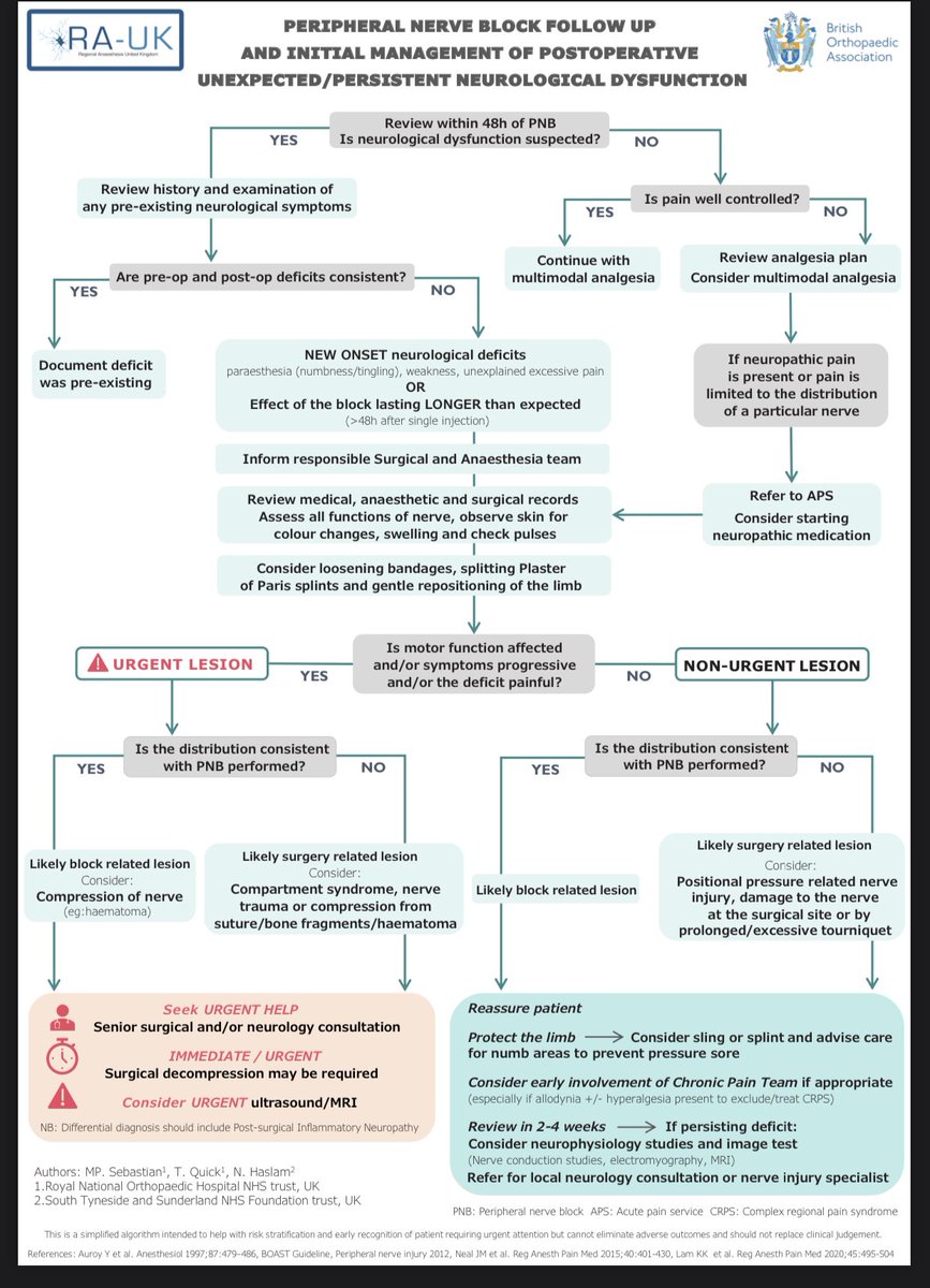 RA-UK (@regionalanaesuk) on Twitter photo Please do check out our new Algorithm for suspected neurological injury after peripheral nerve blocks in conjunction with <a href="/BritOrthopaedic/">BOA</a> .
Big thanks to <a href="/mariapsebastian/">Mariapaz Sebastian</a> <a href="/nathaslam/">Nat Haslam</a> & <a href="/TJQPNI/">Tom Quick</a> for putting this together!
ra-uk.org
ra-uk.org/images/Documen… Please do check out our new Algorithm for suspected neurological injury after peripheral nerve blocks in conjunction with <a href="/BritOrthopaedic/">BOA</a> .
Big thanks to <a href="/mariapsebastian/">Mariapaz Sebastian</a> <a href="/nathaslam/">Nat Haslam</a> & <a href="/TJQPNI/">Tom Quick</a> for putting this together!
ra-uk.org
ra-uk.org/images/Documen…