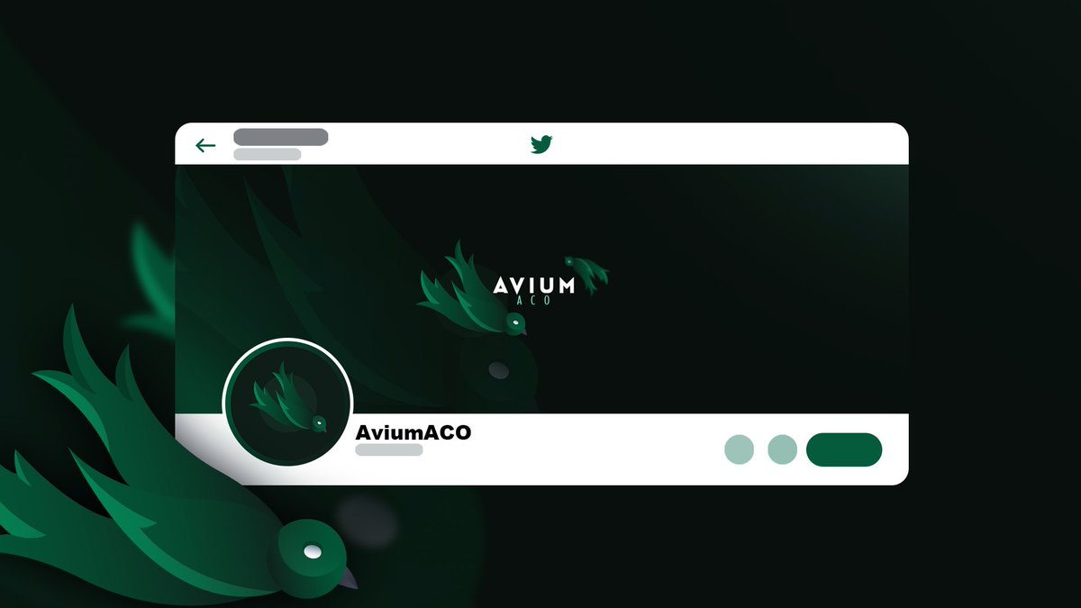 We are Avium, the only ACO service you'll ever need!