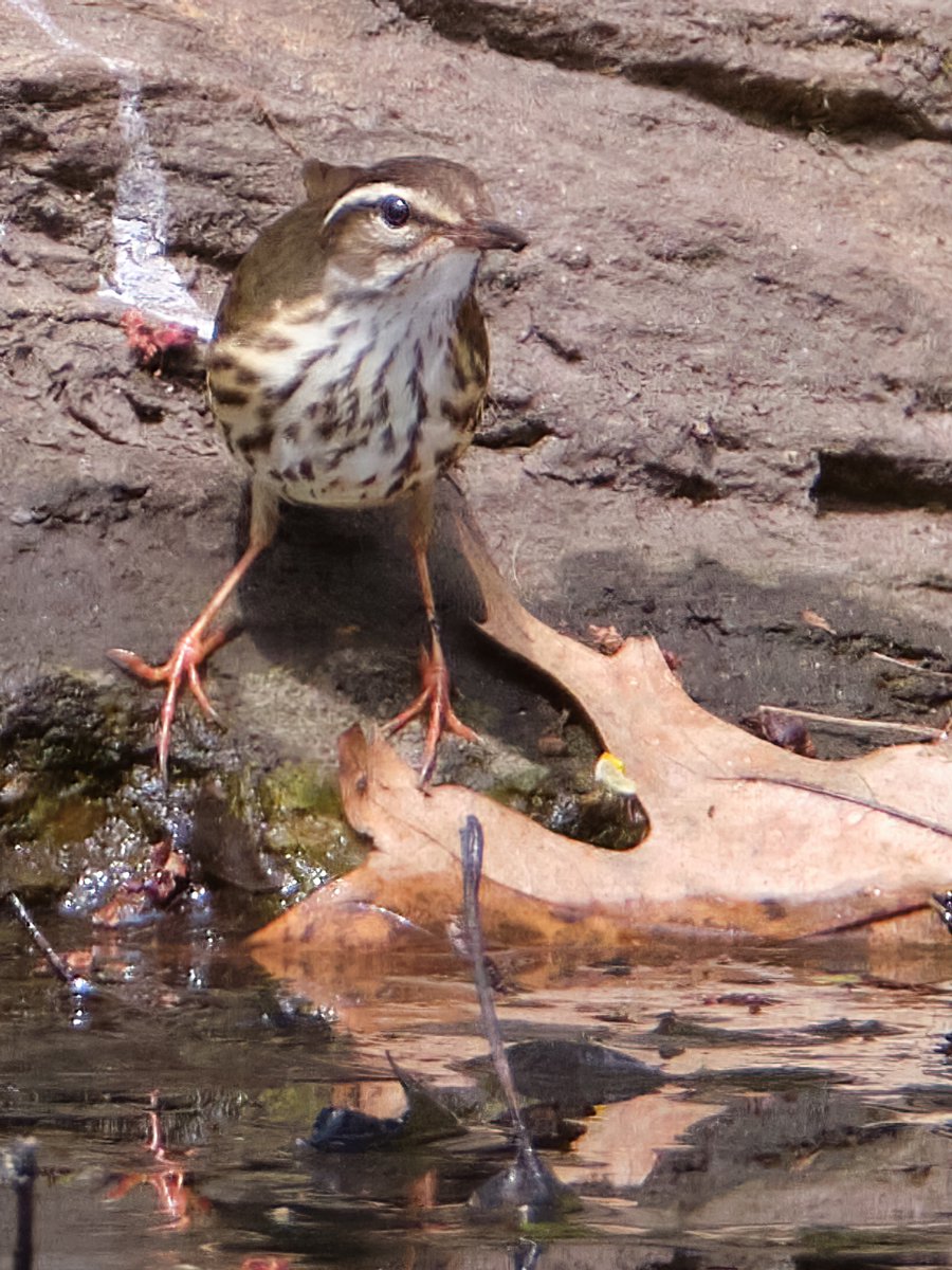 Ben Stadler tweet media