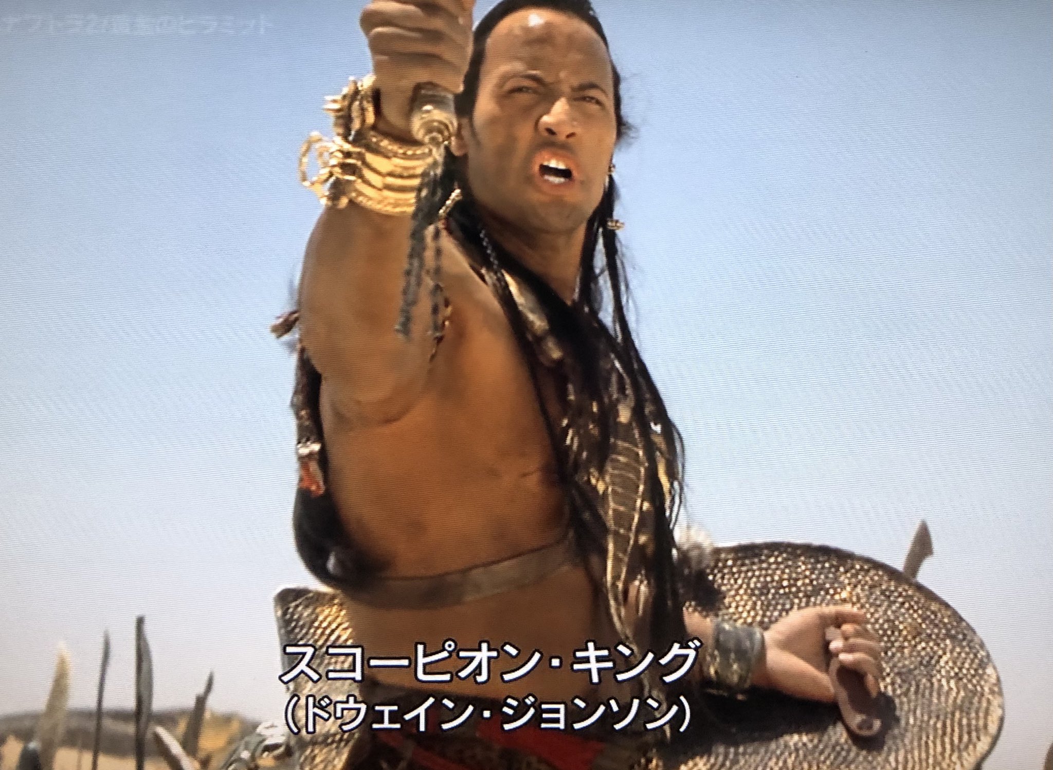 新品 ドウェインジョンソン ザロック プロレスラー ハムナプトラ2 Tシャツ sako on X: \"はい、ロン毛のロック様かっこいい  ❤️ハムナプトラはCG