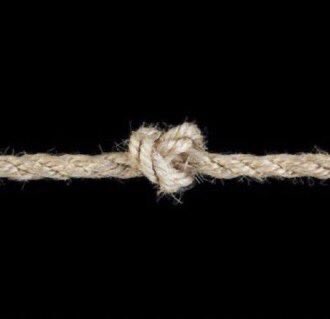 catra6ay's tweet photo. my mental health               melog https://t.co/lOdopcxvcO