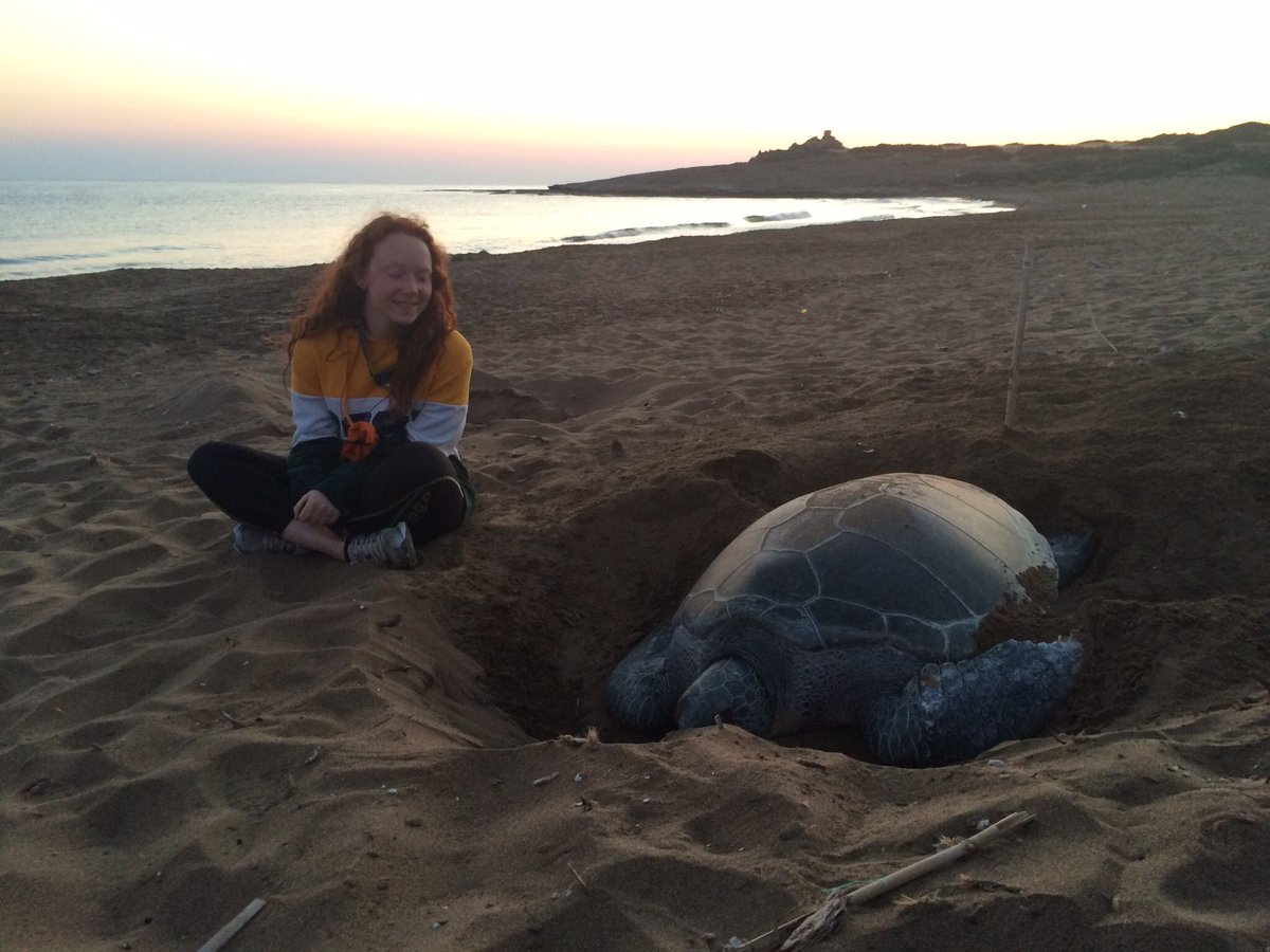 Marine Environmental Management MSc (U of Exeter) tweet media