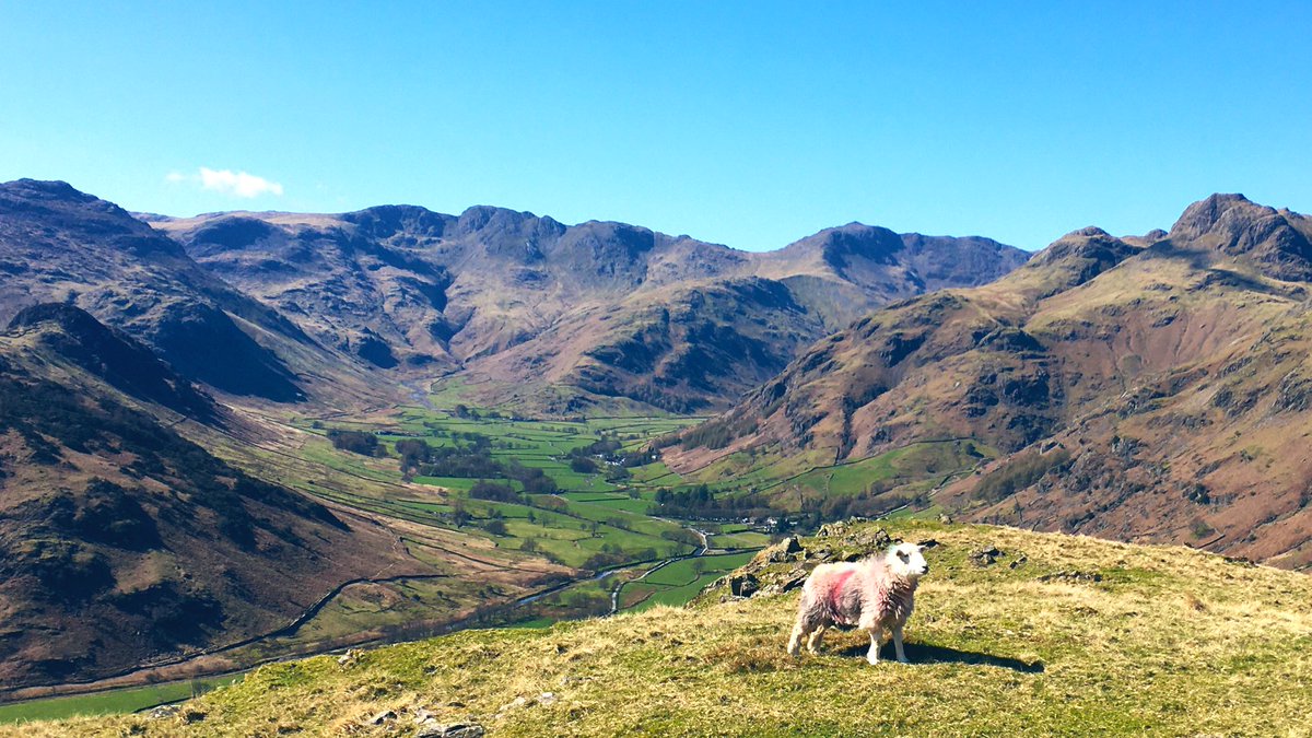 Icicle Windermere Shop tweet media