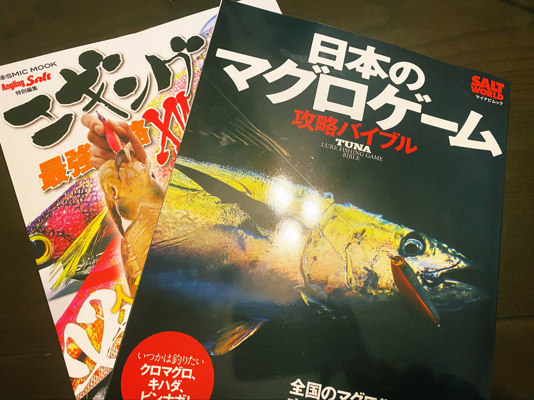 マルコス 釣り名人への道 今年は新しい釣りに挑戦してみたくなり 勉強してみようと読んでみる オフショアとか全然してこなかったけど やってみたいなぁ T Co Qilarlyte3 Twitter
