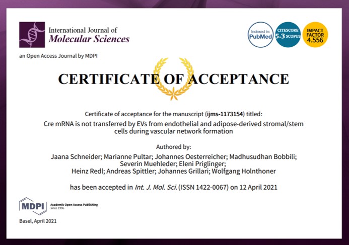 ASEV - Austrian Society for Extracellular Vesicles (@asev_austria) on Twitter photo Congrats, <a href="/JaanaSchneider/">Jaana Hartmann</a> and the rest of the Vascular Biology Group led by Wolf Holnthoner at <a href="/lbitrauma/">LBI Trauma</a>. (in a way "unusual" paper soon out at <a href="/IJMS_MDPI/">IJMS MDPI</a> 😎) Congrats, <a href="/JaanaSchneider/">Jaana Hartmann</a> and the rest of the Vascular Biology Group led by Wolf Holnthoner at <a href="/lbitrauma/">LBI Trauma</a>. (in a way "unusual" paper soon out at <a href="/IJMS_MDPI/">IJMS MDPI</a> 😎)
