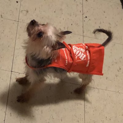 JXO Joanna Peechy tweet media