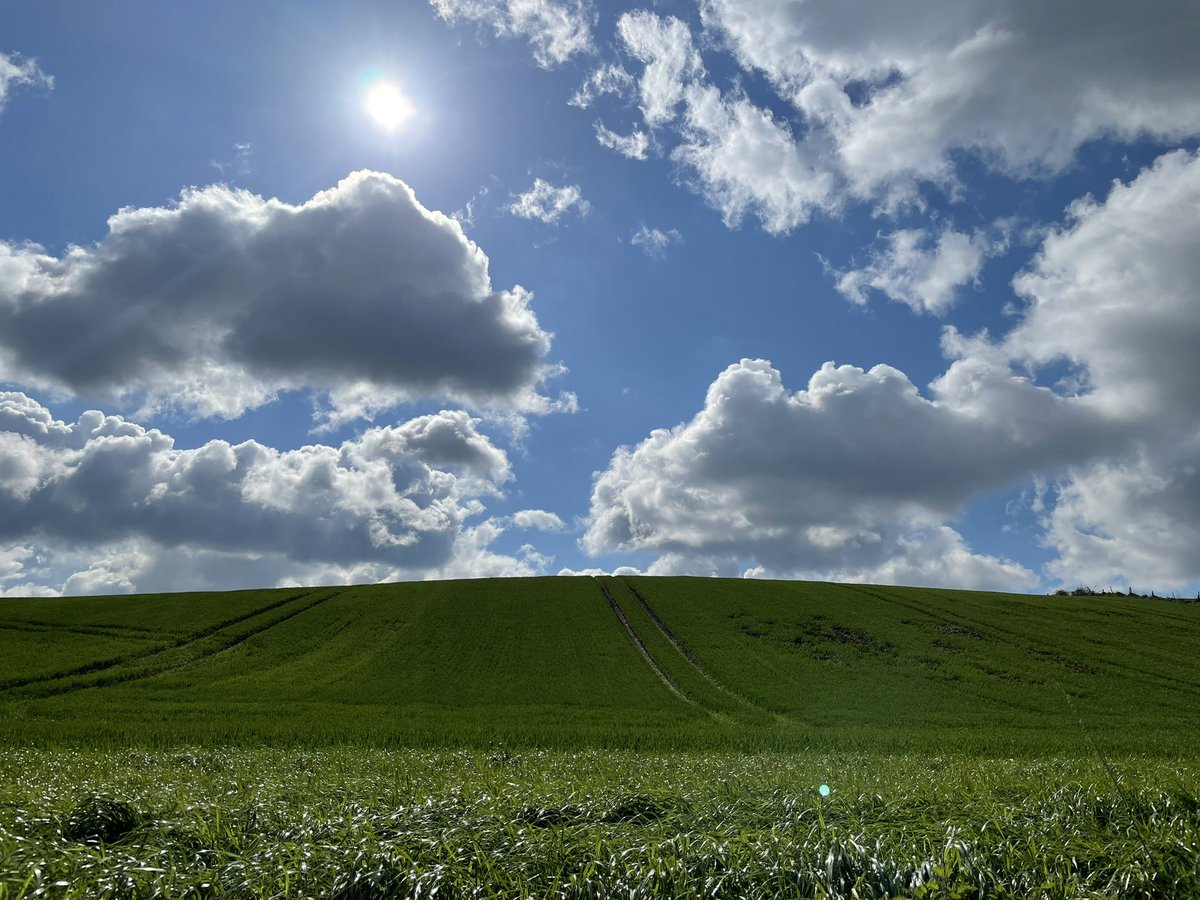 _beInteractive's tweet image. Ottenburg 11:10 #vrtweer