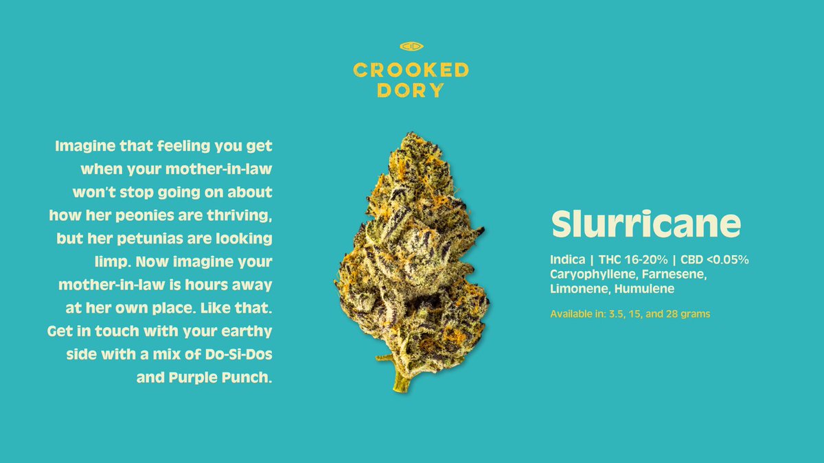 CrookedDory tweet media