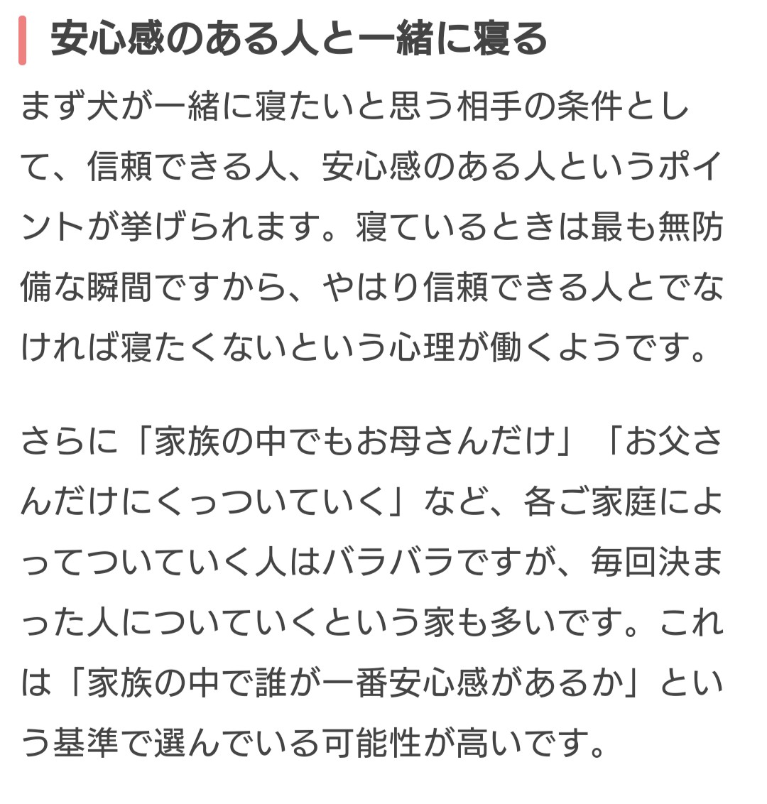 わんちゃんホンポ わんちゃんホンポ