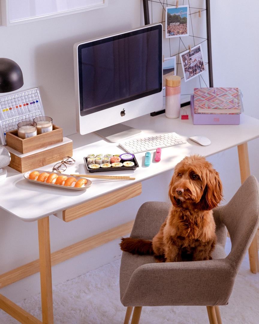 ovrgrnd's tweet photo. #BTS Someone was a good girl on set today!
 Don't worry, we paid her in treats.🐶 #ovrgrnd 

Let's create lifestyle content that speaks to your audience: https://t.co/p2FOMM9UlT https://t.co/1yOfoHCkTT