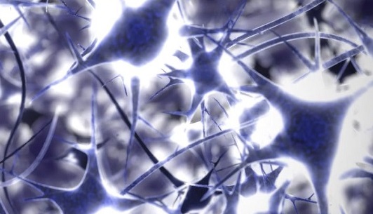 UGrenobleAlpes's tweet image. #Health // First successful Near Infra Red (NIR) surgery by #Clinatec #Grenoble in a clinical trial launched to slow the progression of #Parkinson&apos;s disease by neuroillumination.
📌bit.ly/3a2GRIs