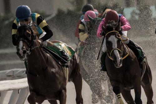 Cómo lavan dinero las cuatro grandes organizaciones del narco en México elportaluco.com/como-lavan-din… Cómo lavan dinero las cuatro grandes organizaciones del narco en México
Algunas organizaciones criminales utilizan las carreras de c...