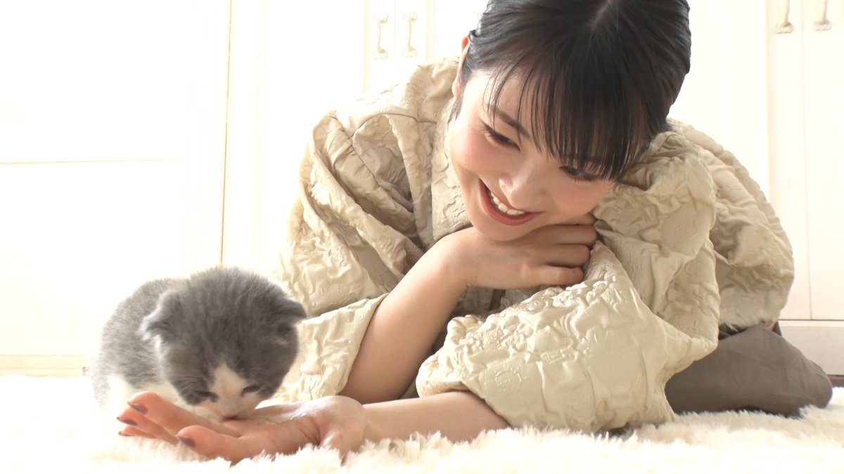 犬派だけどすごく猫になりたくなったw