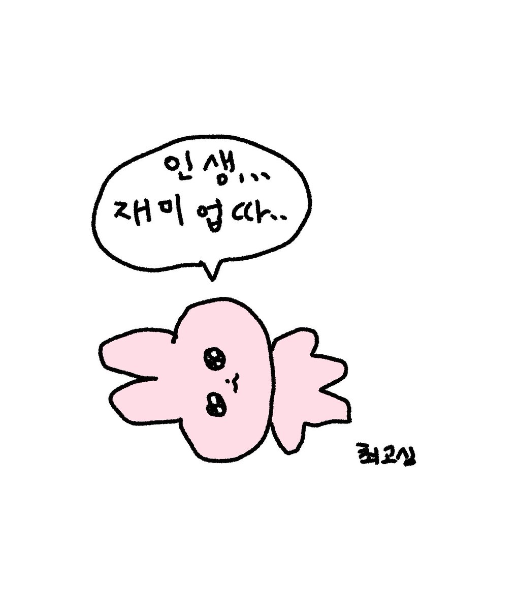 최고심 tweet media