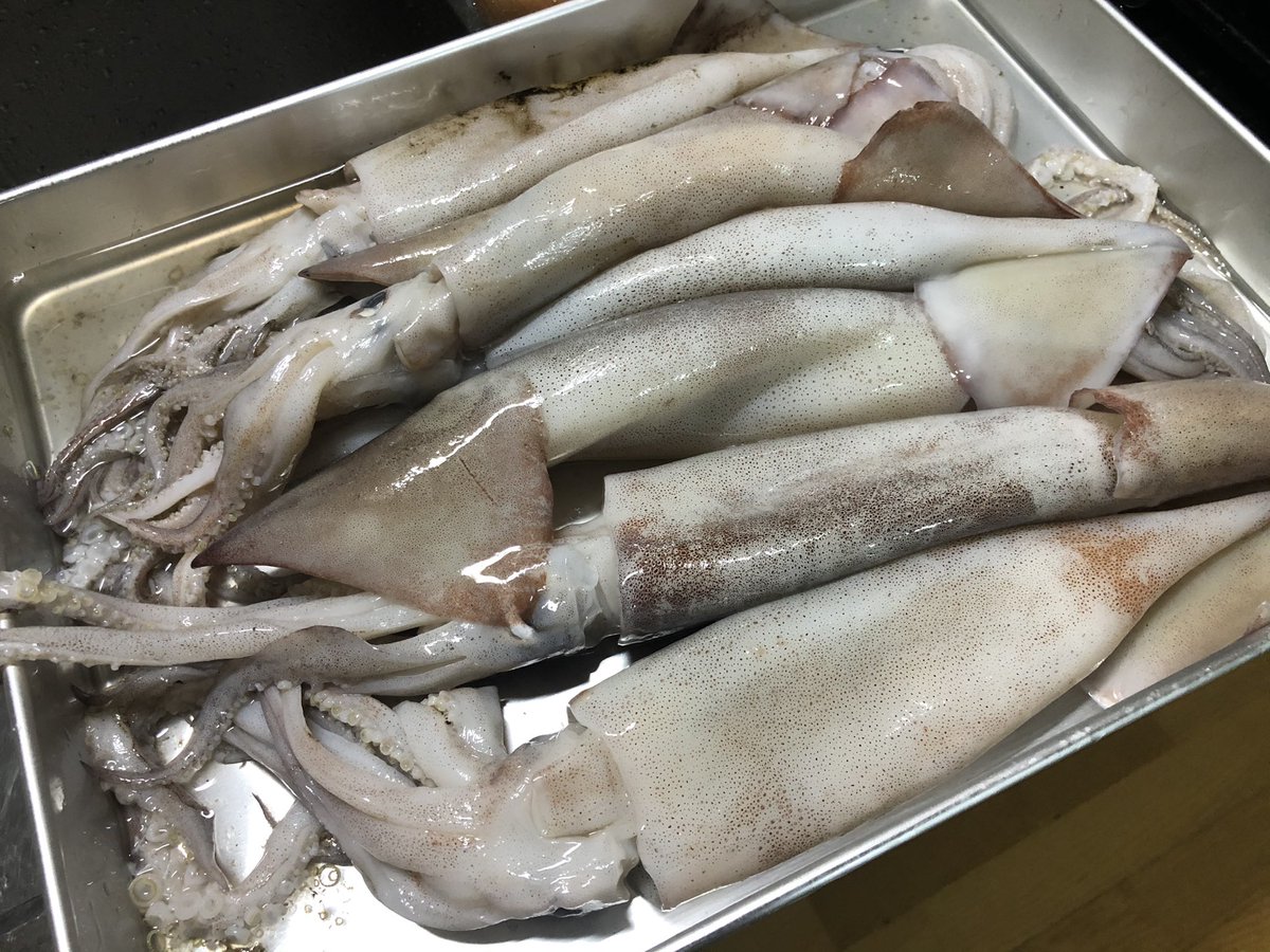 イカのゴロ焼き