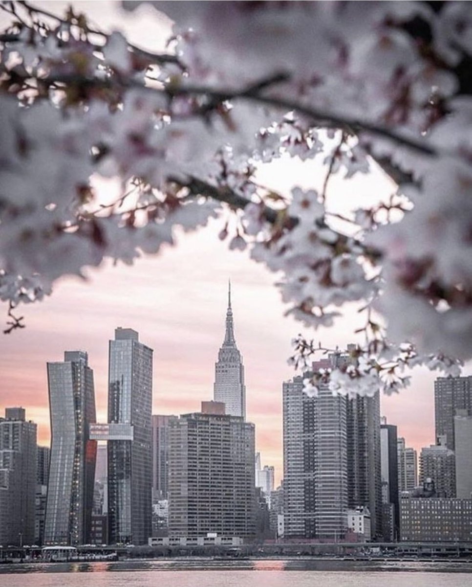 FabAtAnyAge's tweet image. Good Morning New York City!
It's Motivational Monday
Remember: 
"Learning to IGNORE THINGS is one of the great paths of INNER PEACE!"😉
#Beautifulspring🌸
#IloveNY🍎
#newyorkstrong
#postivethinking
#WEARaMASK
#realestatebroker
#luxuryrealestate
#warburgrealty
#BUYandSELLwithME