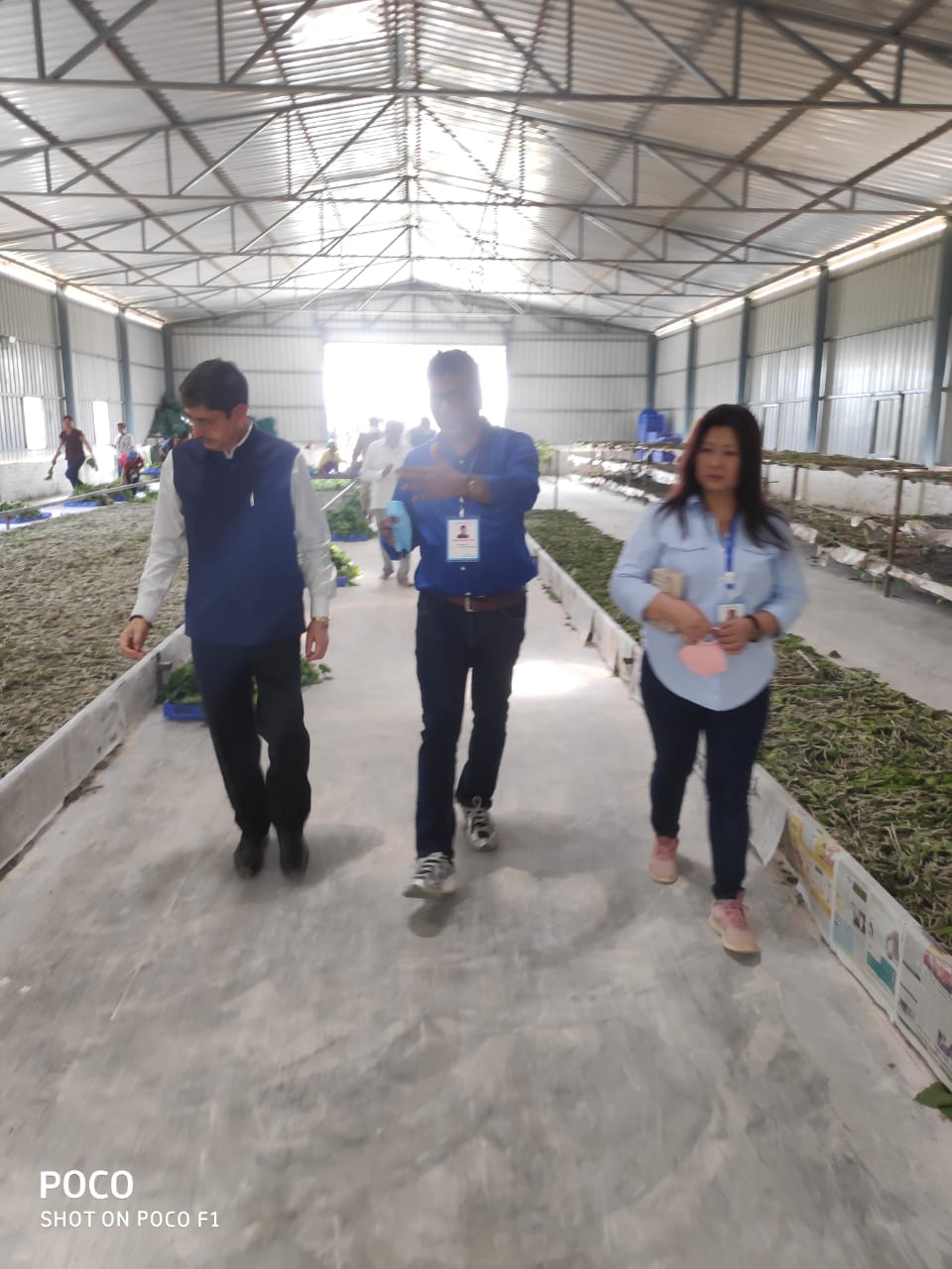 تويتر Central Silk Board Ministry Of Textiles على تويتر Honorable Governor Of Nagaland Mr Ravindra Narayana Ravi Visited Samvrudi Mulberry Plantation Area And Silkworm Rearing Houses Nagaland T Co Zfybrbbcab