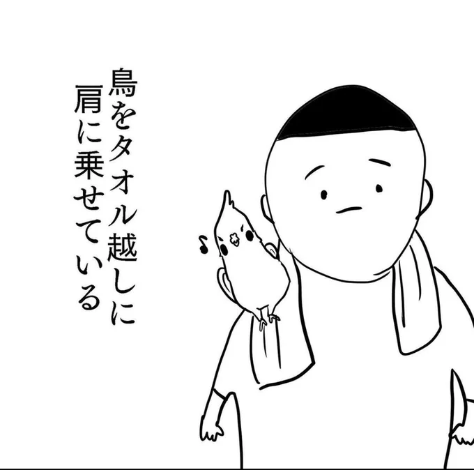 悪かったとは思っている

#オカメインコ
#漫画が読めるハッシュタグ 