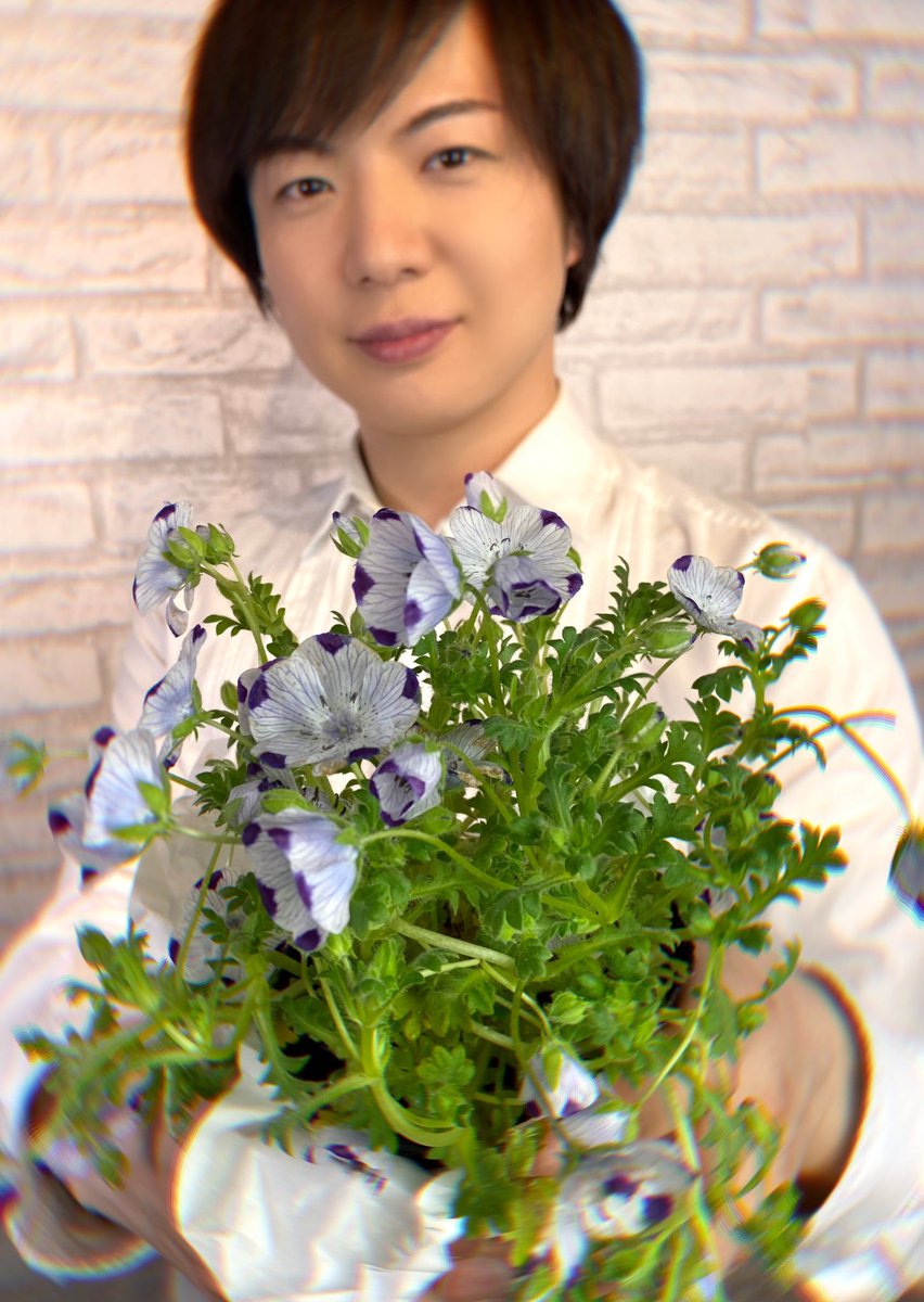 竹島宏スタッフ 公式 S Tweet ネモフィラ マクラータ 花言葉は どこでも成功 5弁花に1個づつ紫のドット 模様が入ってます アート作品みたいな花模様 花の世界ハマりますね 今日も1日お疲れ様でした ひろネット 花便り 花言葉 花 花を贈ろう 竹島宏スタッフ 公式 S Tweet ネモフィラ マクラータ 花言葉は どこでも成功 5弁花に1個づつ紫のドット 模様が入ってます アート作品みたいな花模様 花の世界ハマりますね 今日も1日お疲れ様でした ひろネット 花便り 花言葉 花 花を贈ろう