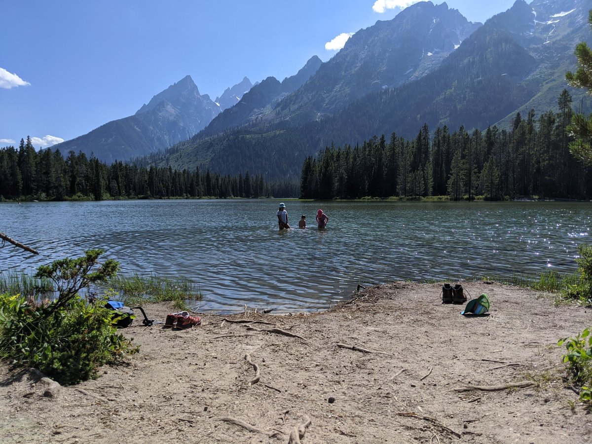 Ryan Richard tweet media