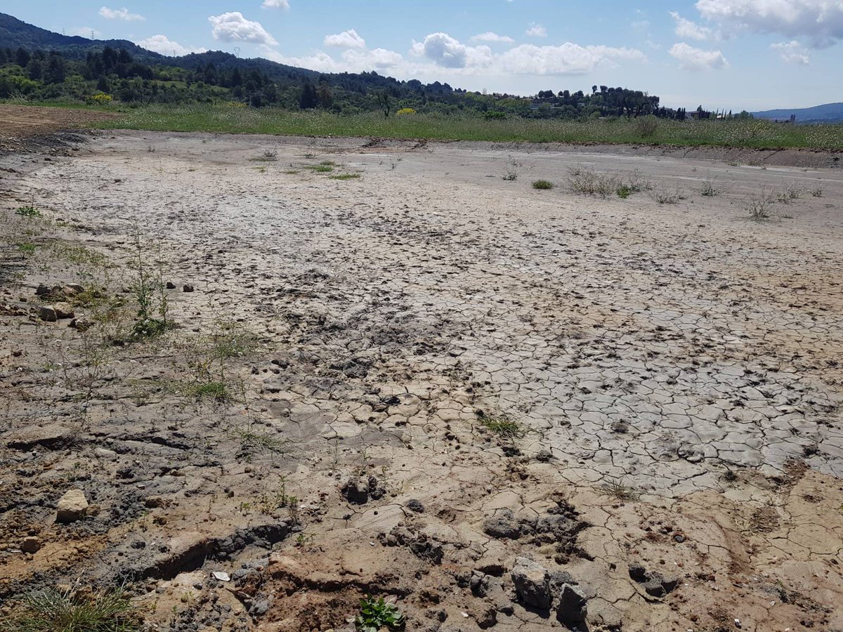 Hola, <a href="/AjMolinsdeRei/">Ajuntament de Molins de Rei</a>. Ja podeu portar aigua per omplir les fantàstiques basses de Les Llicorelles. No es podia saber, que quedarien seques en dos dies... La zona ja recorda als abandonats aiguamolls de Molins, al costat del Llobregat.