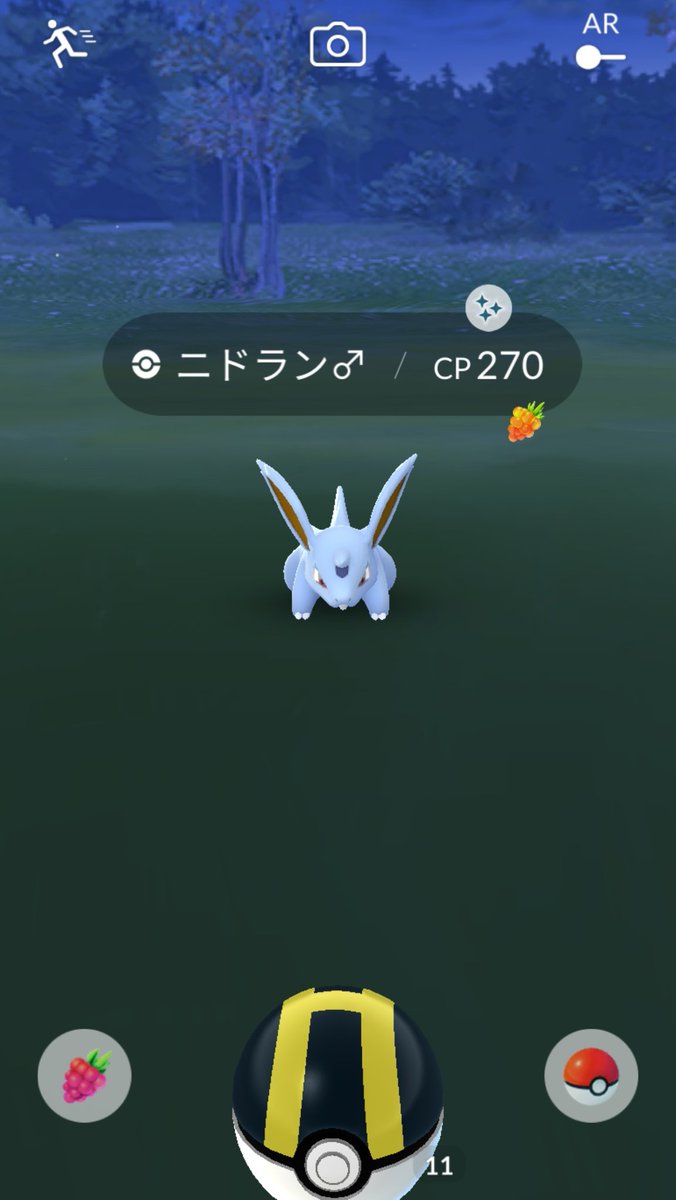 ちろる 通算2匹目のキバゴが生まれたり ニドラン の色違いが来たり 今日はどうした 笑 ニドラン が欲しかった ポケモンgo 色違い