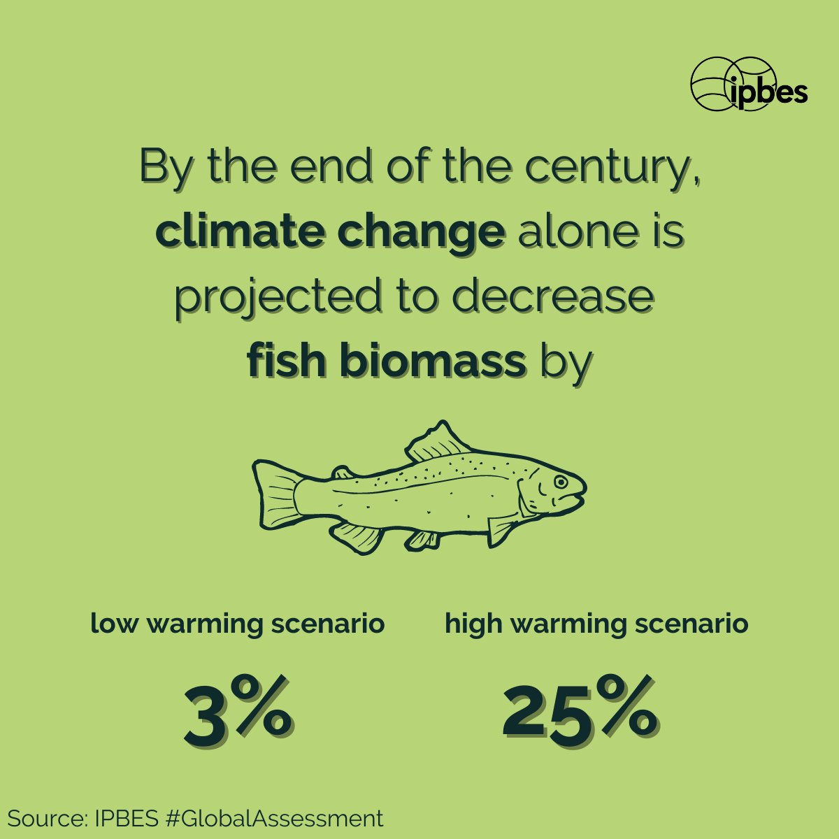 IPBES's tweet photo. What are the links between #OurOceans, #ClimateChange &amp; #biodiversity?

Marine and terrestrial #biodiversity in boreal, subpolar and polar regions is projected to decline mostly because of warming, sea ice retreat &amp; enhanced ocean acidification🐟🌱
—@IPBES #GlobalAssessment https://t.co/IF0CpauU4k