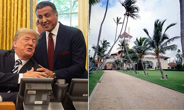 NaylorWelis's tweet photo. Looks like Sly #Stallone is trying to knock-out a free, fair, representative democracy. This is one fight he won’t win. https://t.co/x0ieo3JrhA