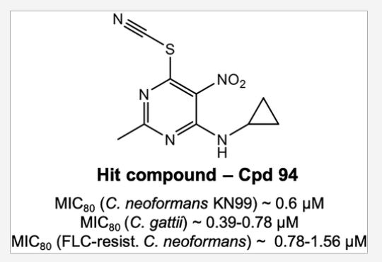 Our latest publication "Discovery of 5-Nitro-6-thiocyanatopyrimidines as Inhibitors of Cryptococcus..." includes contributions from @collabchem PhD, DSc. Read about the findings on improving #antifungal therapies here pubs.acs.org/doi/10.1021/ac…
#MachineLearning