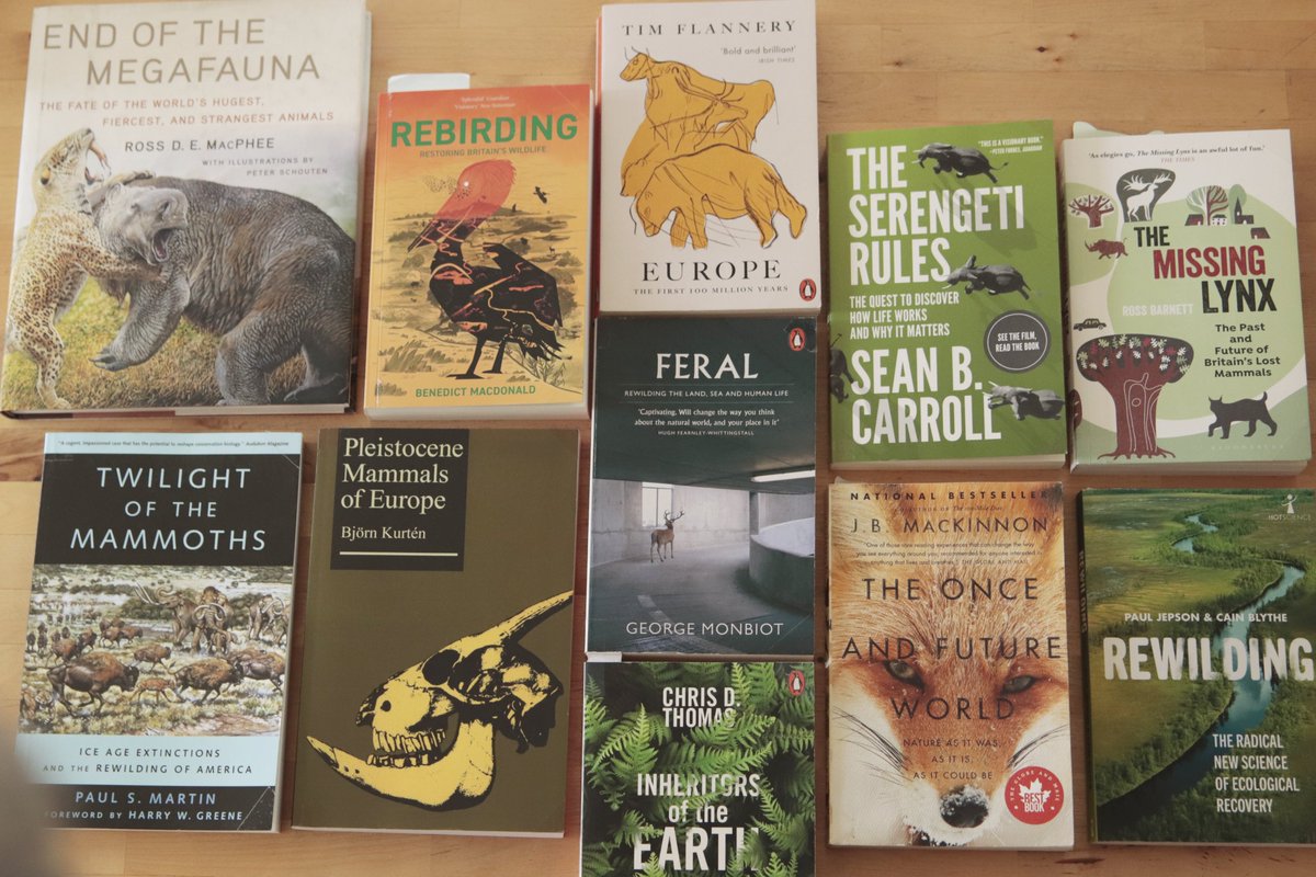 The natural state of the world is to have elephants all over, including Europe. Not having them around is actually odder than pondering a return. 🐘
Eyebrows went up when I said so on Dutch radio. If yours just did, do check out the science, or start easy with any of these books: