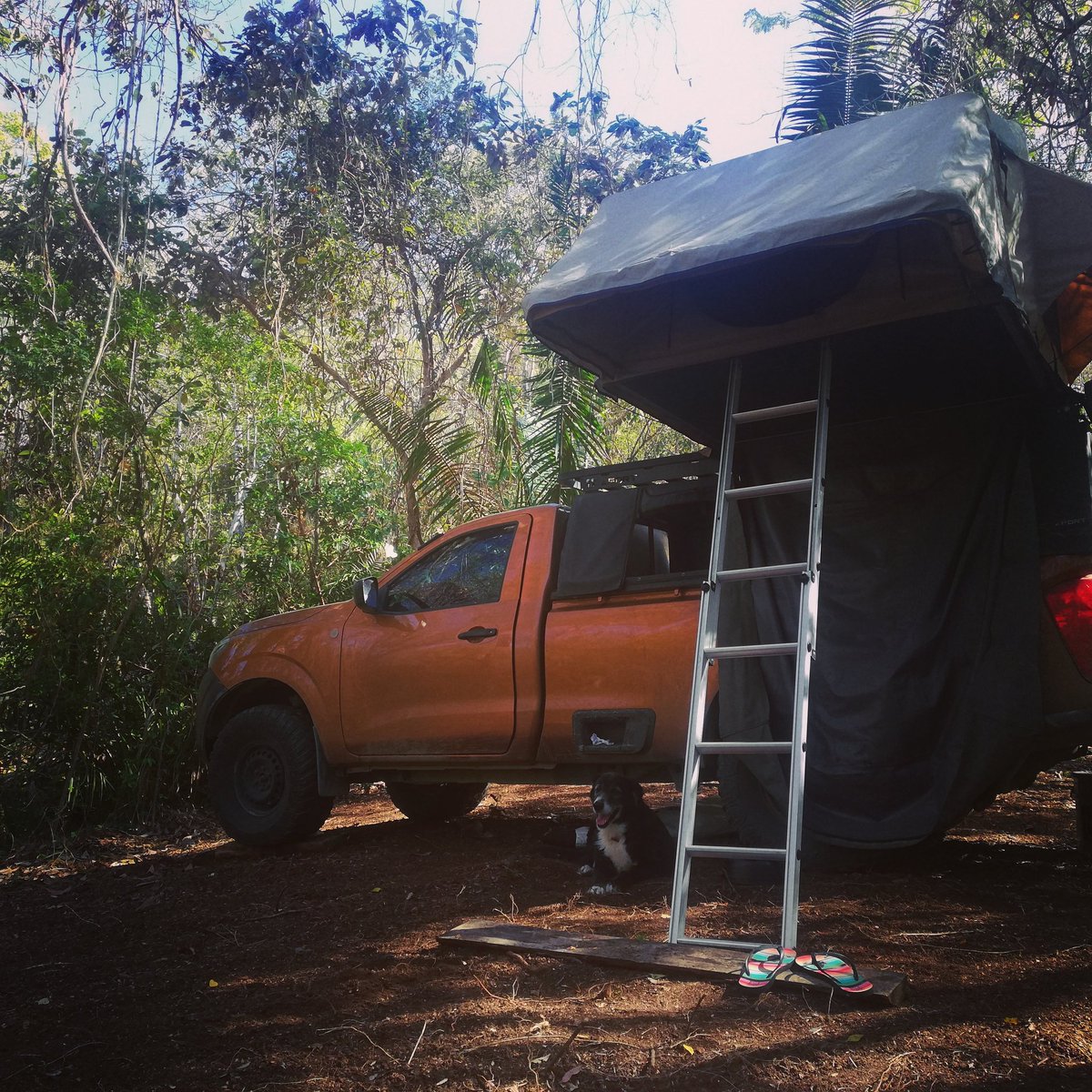 AmazingVarela's tweet photo. Time together is the best time...
🌊 ☀️ 🌴🏕️ 🐺🐾❤️
#campingwithdogs #wheelingwithdogs #travelphotography #trekkingwithmydog #rooftoptentlife #rooftoptentliving #campinglife #adventurepartner #overland #overlanding #travel #photography #outdoorslife #costarica https://t.co/XvHwFUAgcL