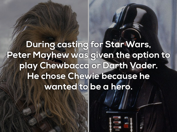 During casting for Star Wars Peter Mayhew was given the option to play Chewbacca or Darth Vader. He chose... https://t.co/53sBgqTdGx